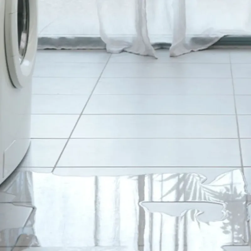 Appliance Leak Cleanup in Mariposa County, CA