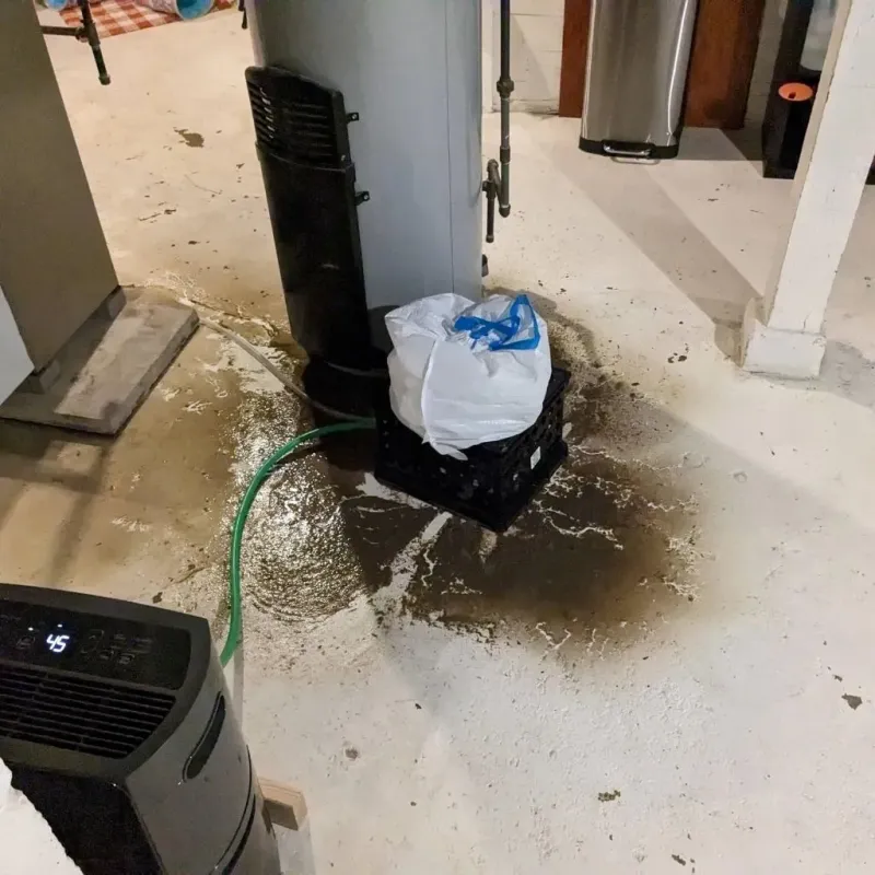 Sewage Backup Cleanup Service in Mariposa County, CA